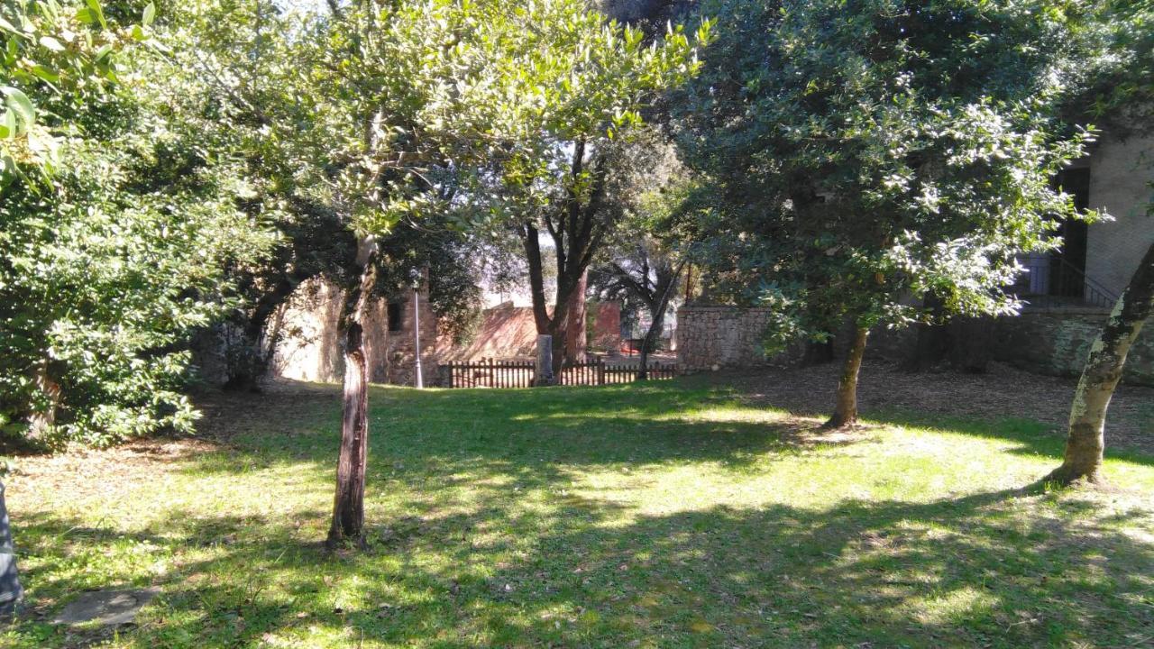 Borgo Di Oliveto - Con Cucina Civitella in Val di Chiana