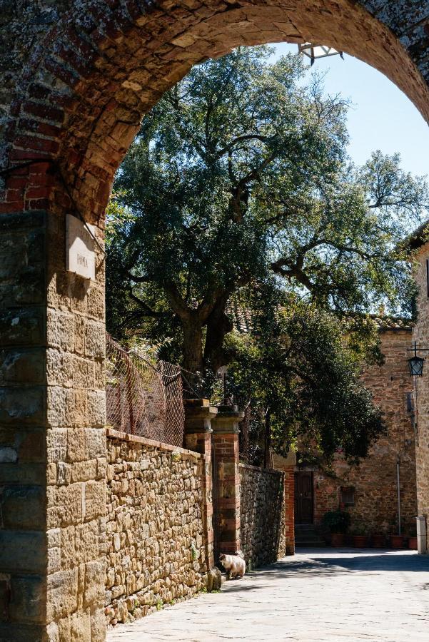 Apartment Borgo Di Oliveto - Con Cucina